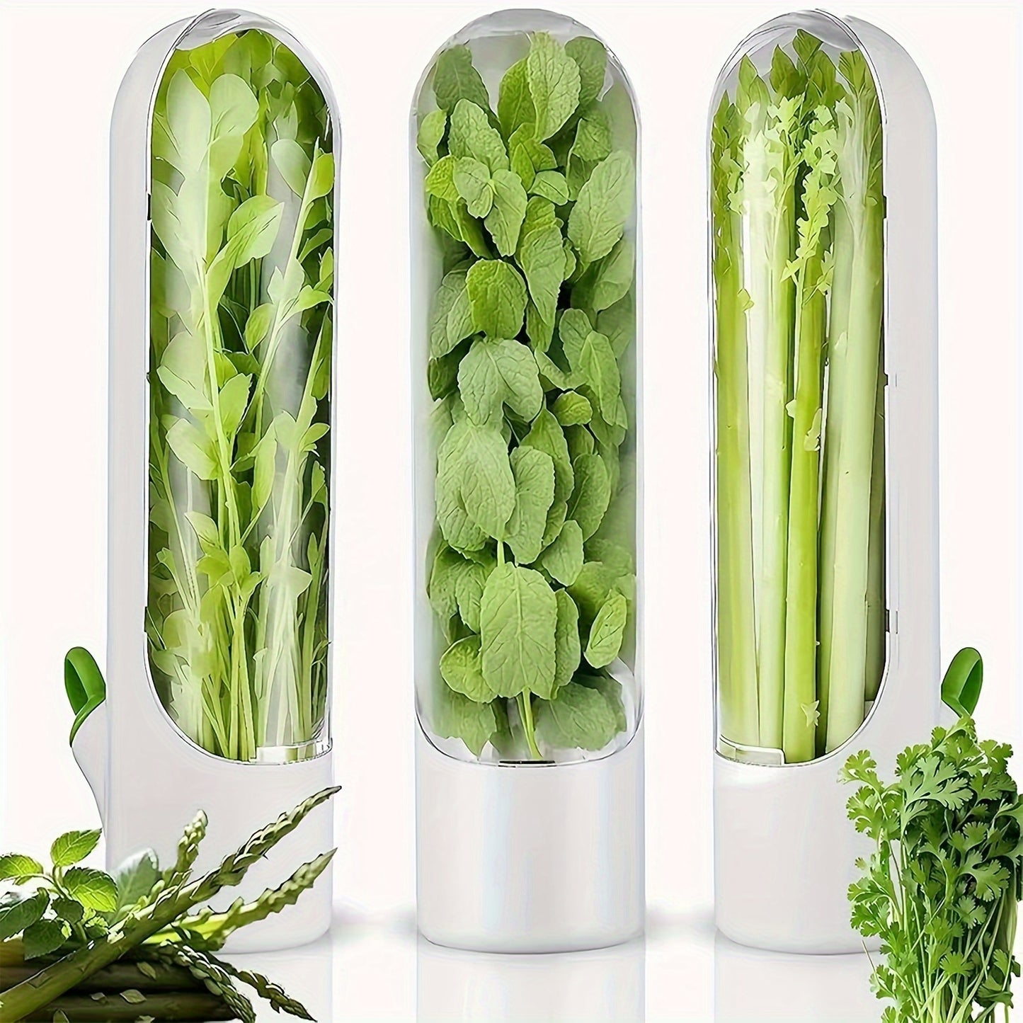 1/3/6pcs Herb Crisper, Vegetable Crisper, Cilantro Herb Crisper, Vegetable Preservation Bottle, Fresh Food Preservation Coriander, Mint, Parsley, Asparagus, Vanilla Preservation Cup, Kitchen Supplies