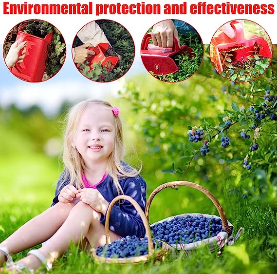 Berry picker; Blueberry picker tool